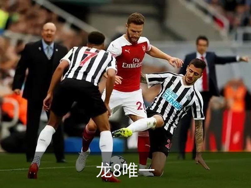 龙8唯一概况